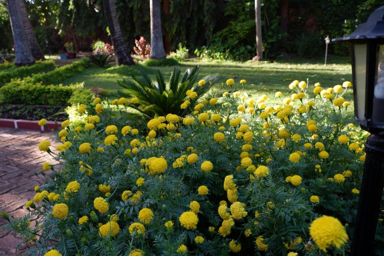 Mama Thea Homes Moshi Dış mekan fotoğraf